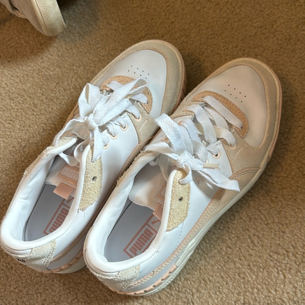 Cute Pumas